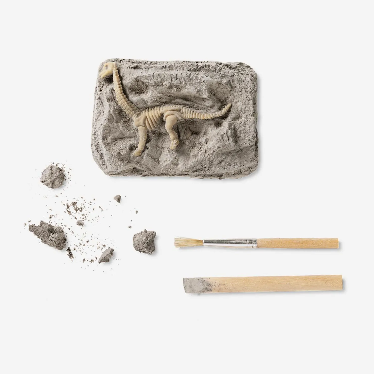 Clearance Flying Tiger Ausgrabungsset mit Fossil