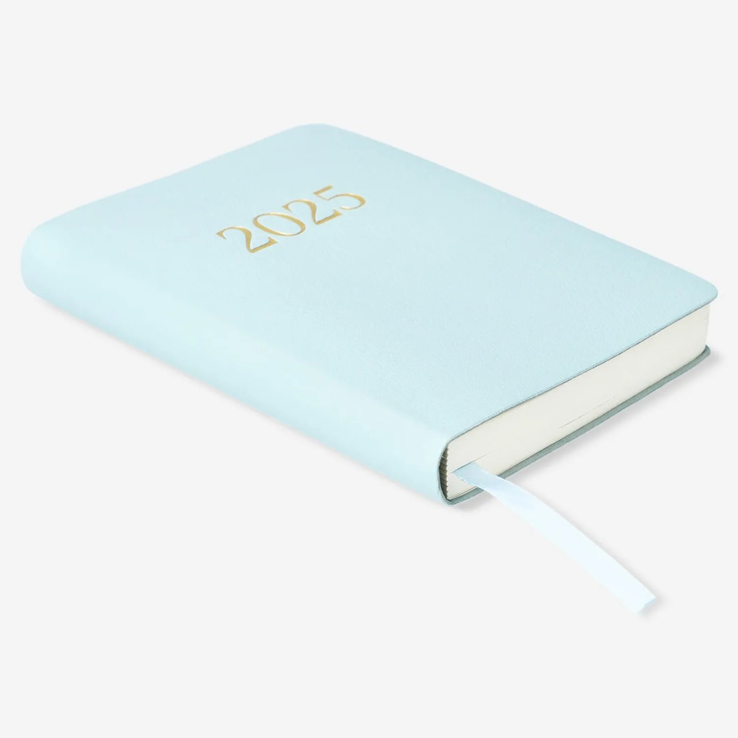 Hot Flying Tiger Blue Daily Diary A6 - Spanisch