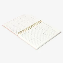 Clearance Flying Tiger Budget-Planer - Englisch