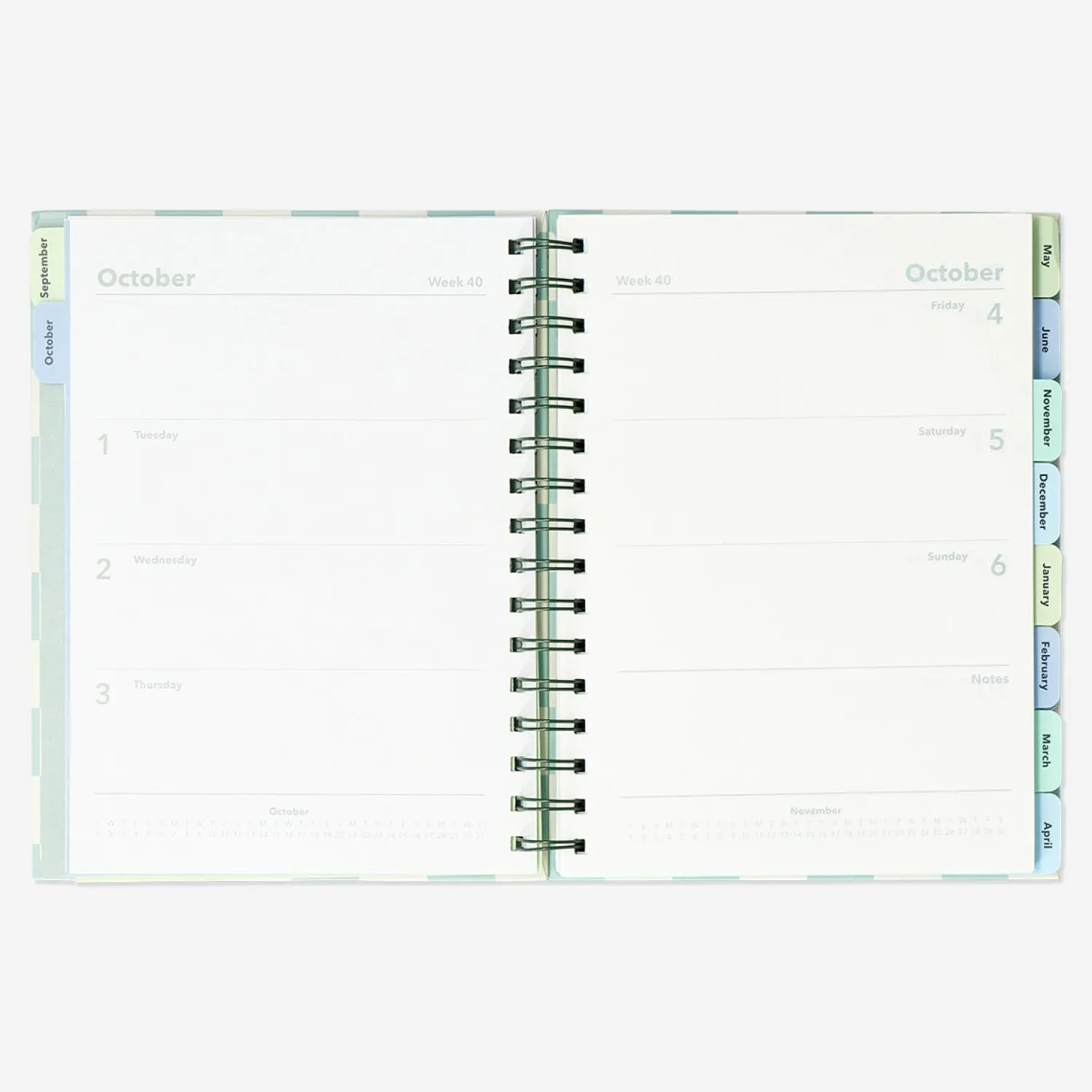 Hot Flying Tiger Checkered Study Planner - Englisch