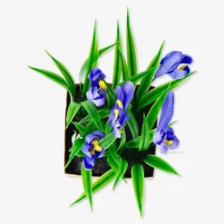 New Flying Tiger Dekorative Blume