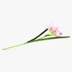 Best Flying Tiger Dekorative rosa Blume