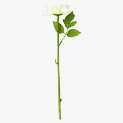 Discount Flying Tiger Dekorative weiße Blume