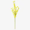Sale Flying Tiger Gelbe Zierblume