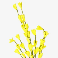 Sale Flying Tiger Gelbe Zierblume