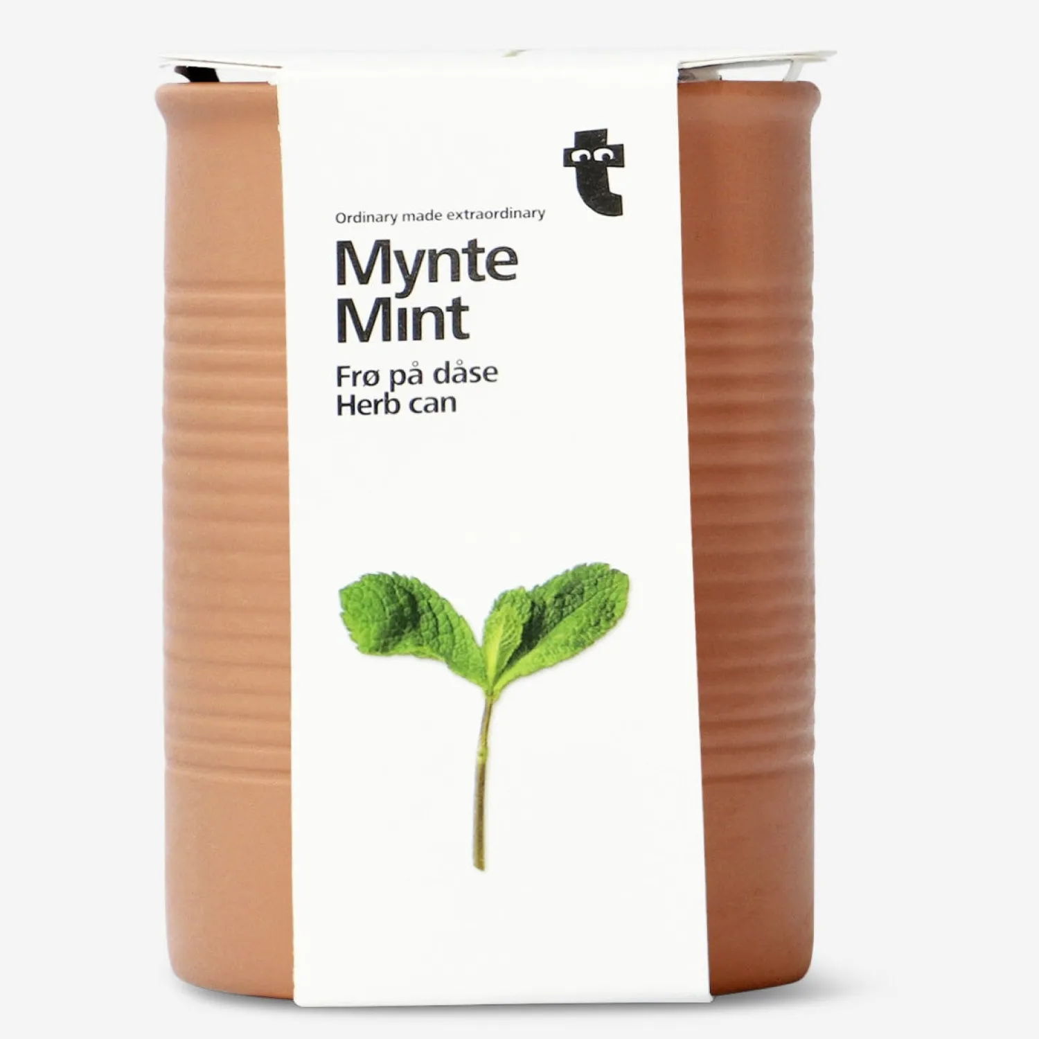 Best Flying Tiger Minze. Kräuterkanne