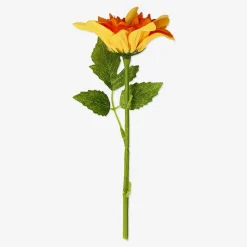 Sale Flying Tiger Orangefarbene Zierblume