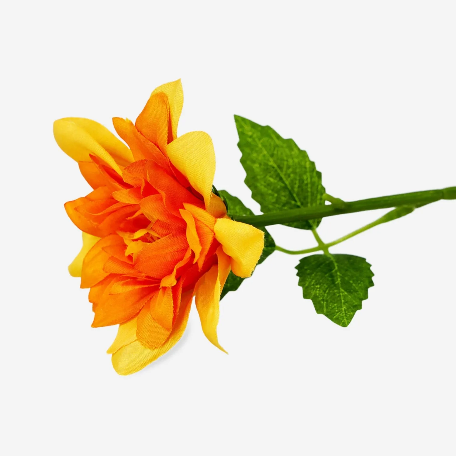 Sale Flying Tiger Orangefarbene Zierblume