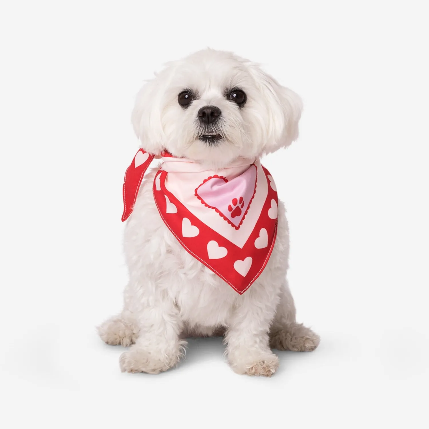 New Flying Tiger Rosa Bandana für Haustiere