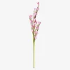 Sale Flying Tiger Rosa Zierblume
