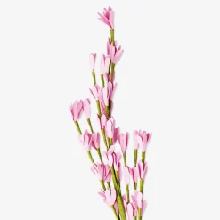 Sale Flying Tiger Rosa Zierblume