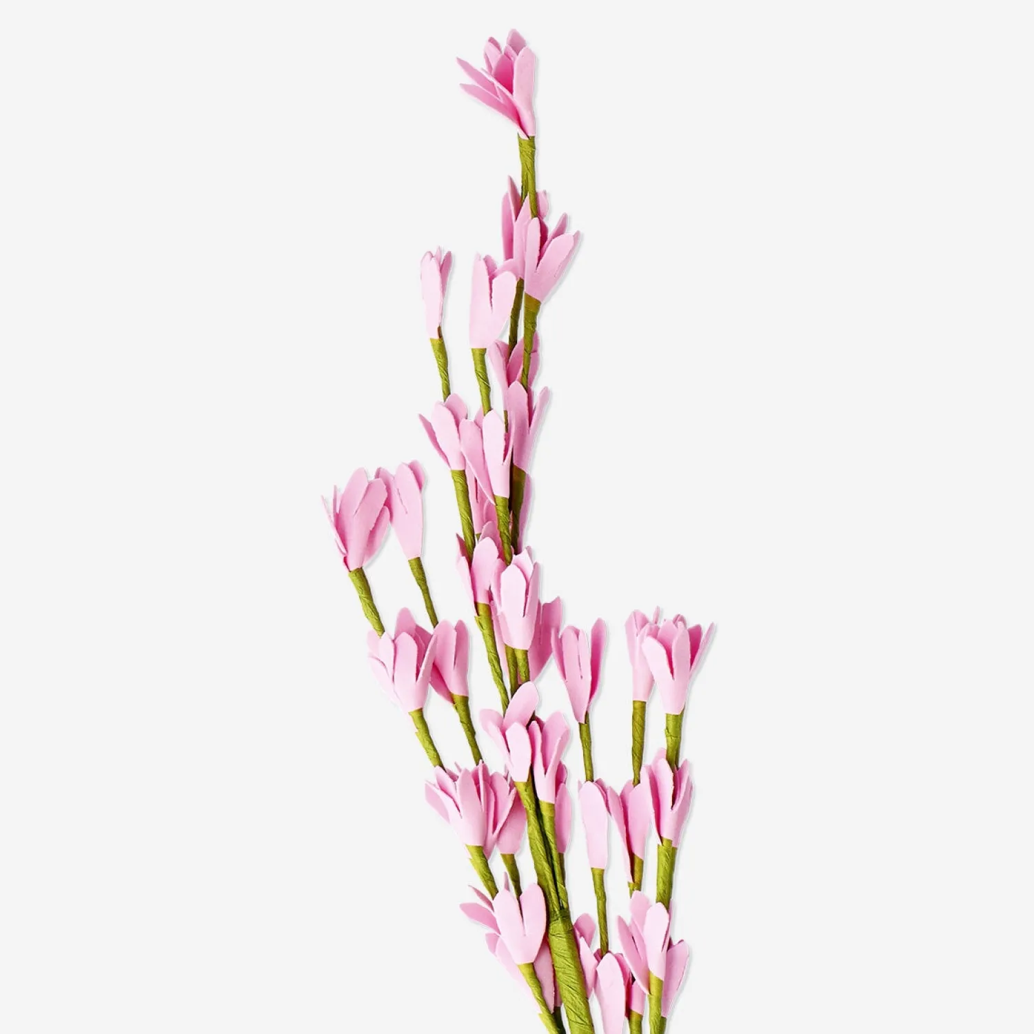 Sale Flying Tiger Rosa Zierblume