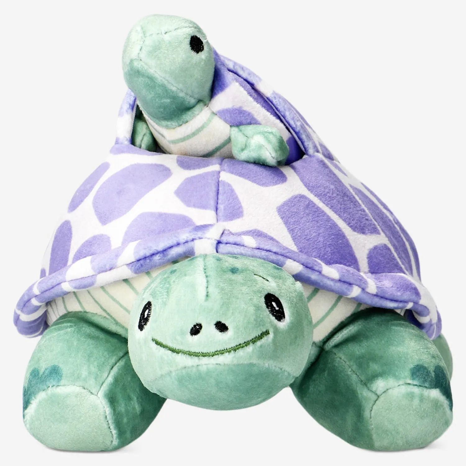 Clearance Flying Tiger Schildkröte mit Baby