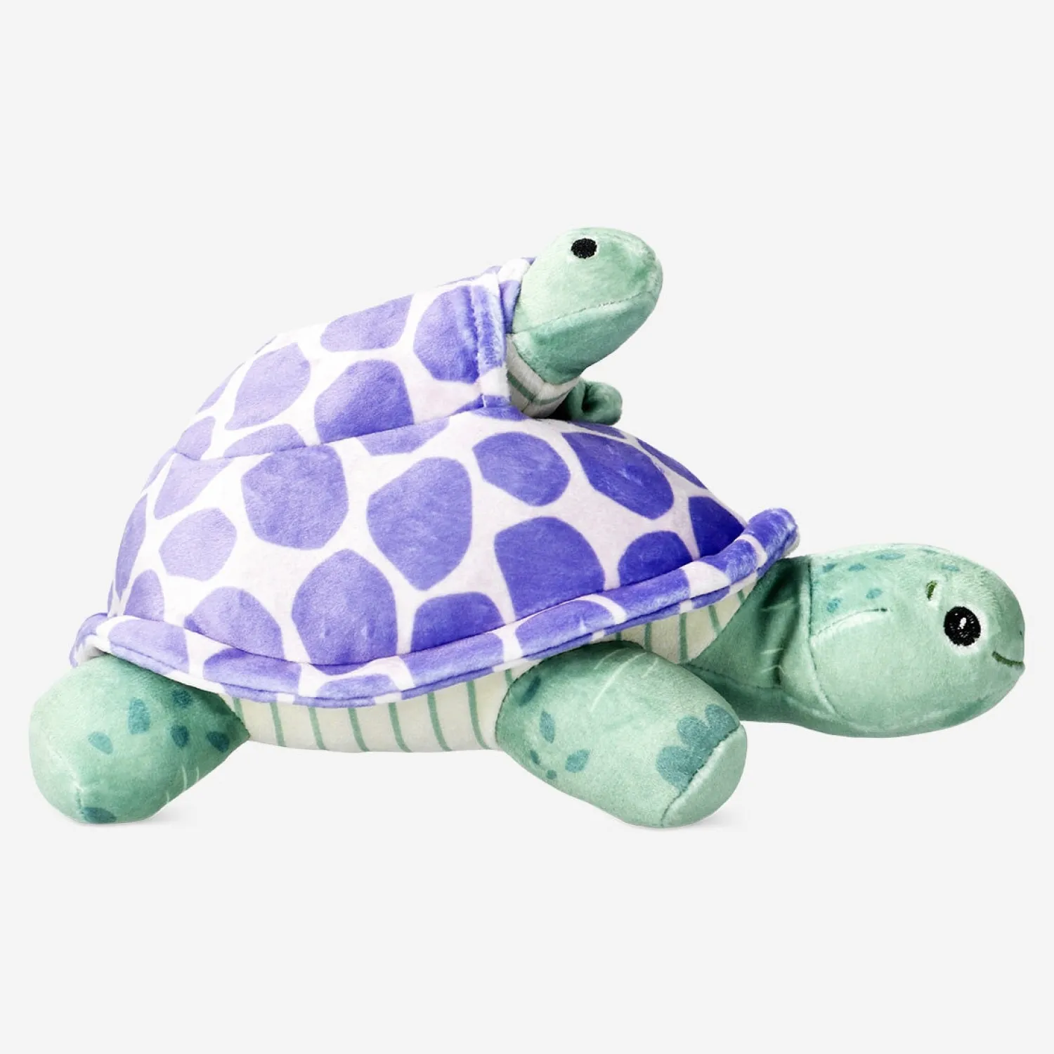 Clearance Flying Tiger Schildkröte mit Baby