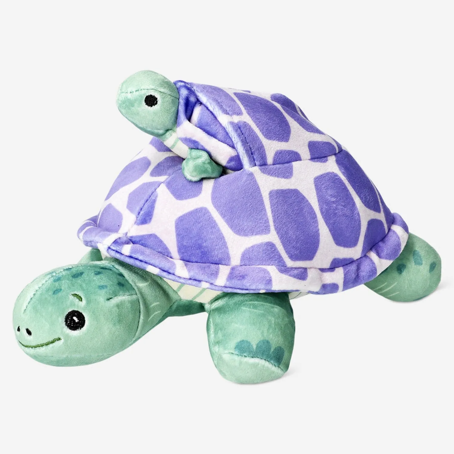 Clearance Flying Tiger Schildkröte mit Baby