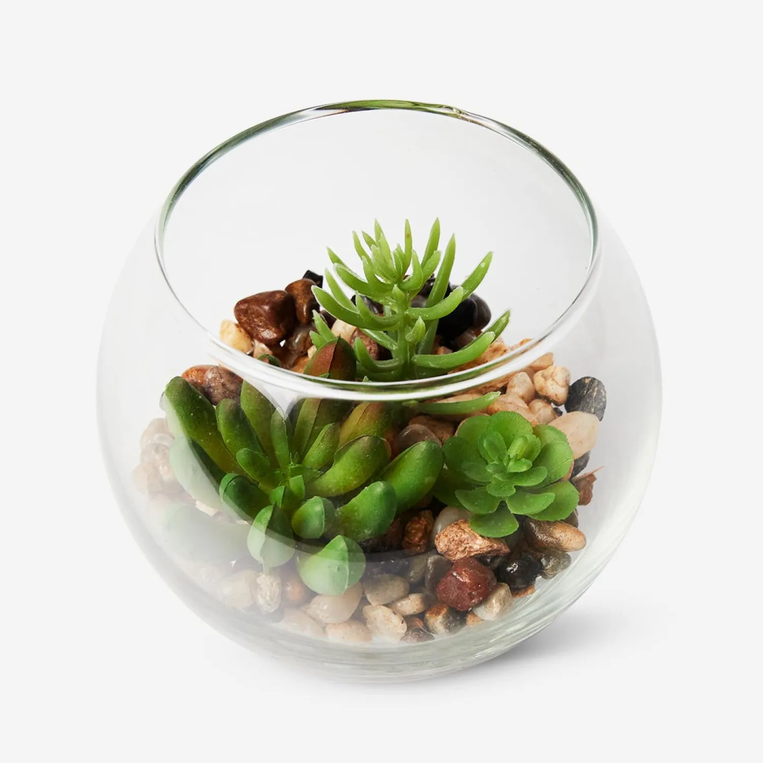 Clearance Flying Tiger Terrarium