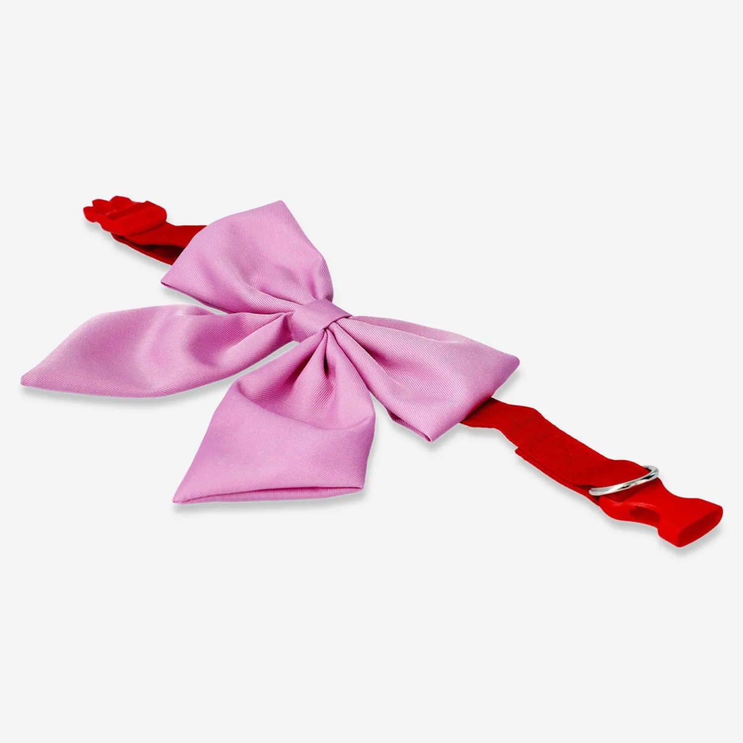 Hot Flying Tiger Verstellbares Halsband für Haustiere mit Schleife